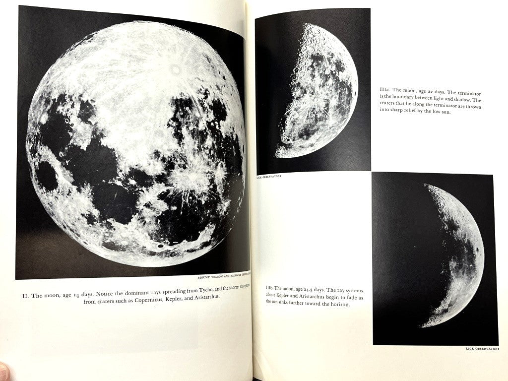 First Edition Man and the Moon - Unique Collectibles