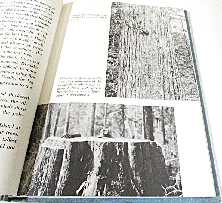 Talking Totem Poles by Glenn Holder 1973 - Unique Collectibles