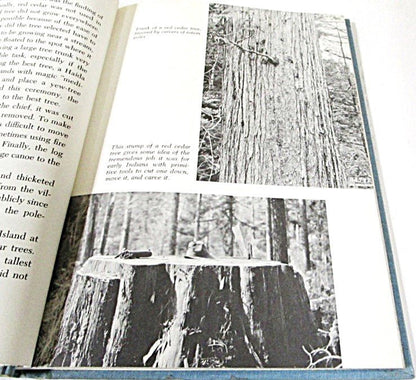 Talking Totem Poles by Glenn Holder 1973 - Unique Collectibles